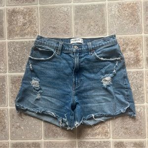 Curve Love Jean Shorts